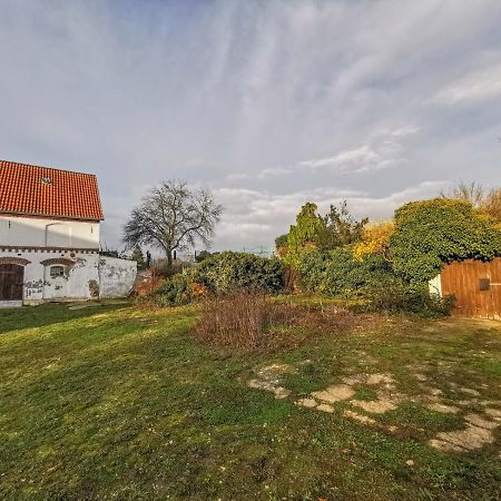 Apartment In Herrenhaus Gross Pinnow エクステリア 写真