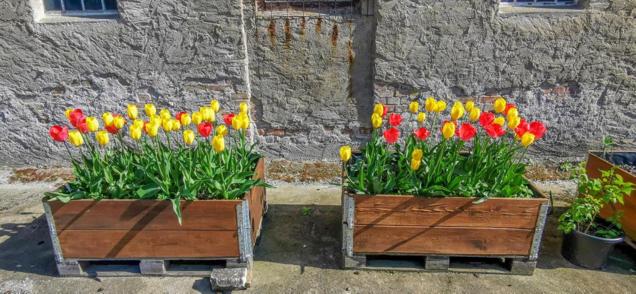 Apartment In Herrenhaus Gross Pinnow エクステリア 写真